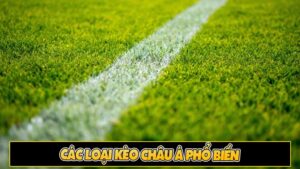 Các loại kèo châu Á phổ biến